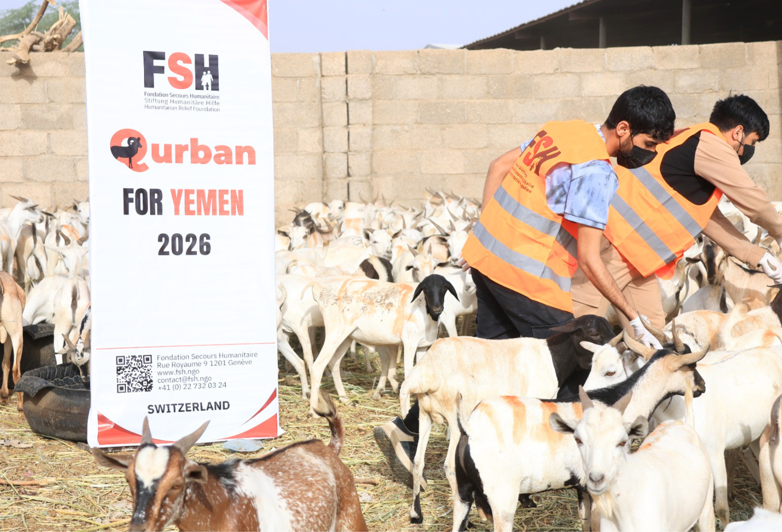 Qurban : Distribution en cours
